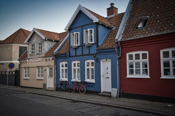 hvepsebekæmpelse Aalborg